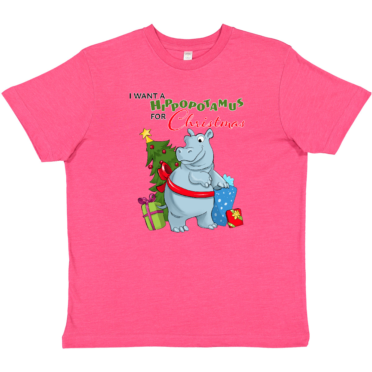 Inktastic I Want A Hippopotamus For Christmas Youth T-Shirt Cute Animals Cuddly - Picture 7 of 9