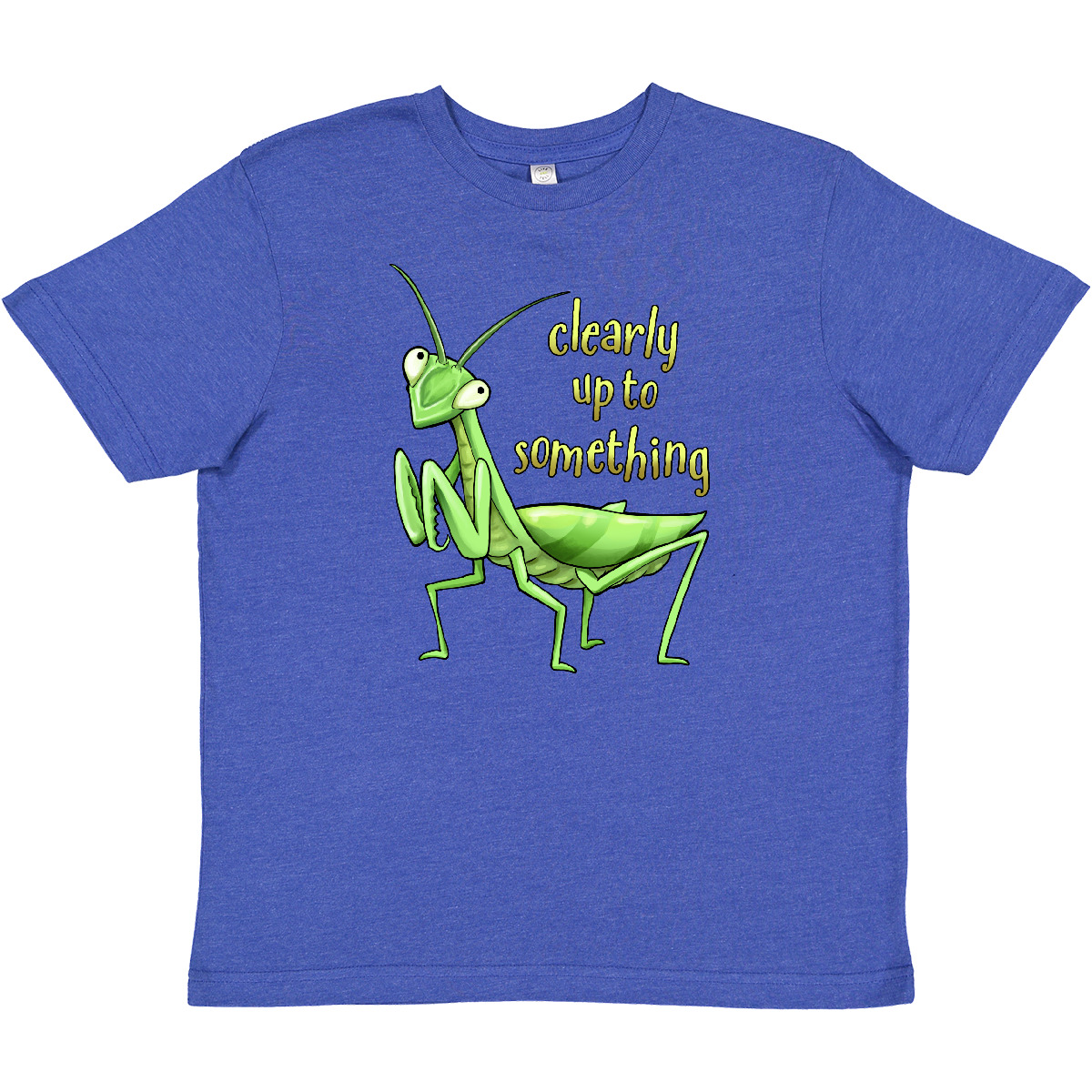 Inktastic Praying Mantis- Clearly Up To Something Youth T-Shirt Animals Insect - Picture 7 of 8