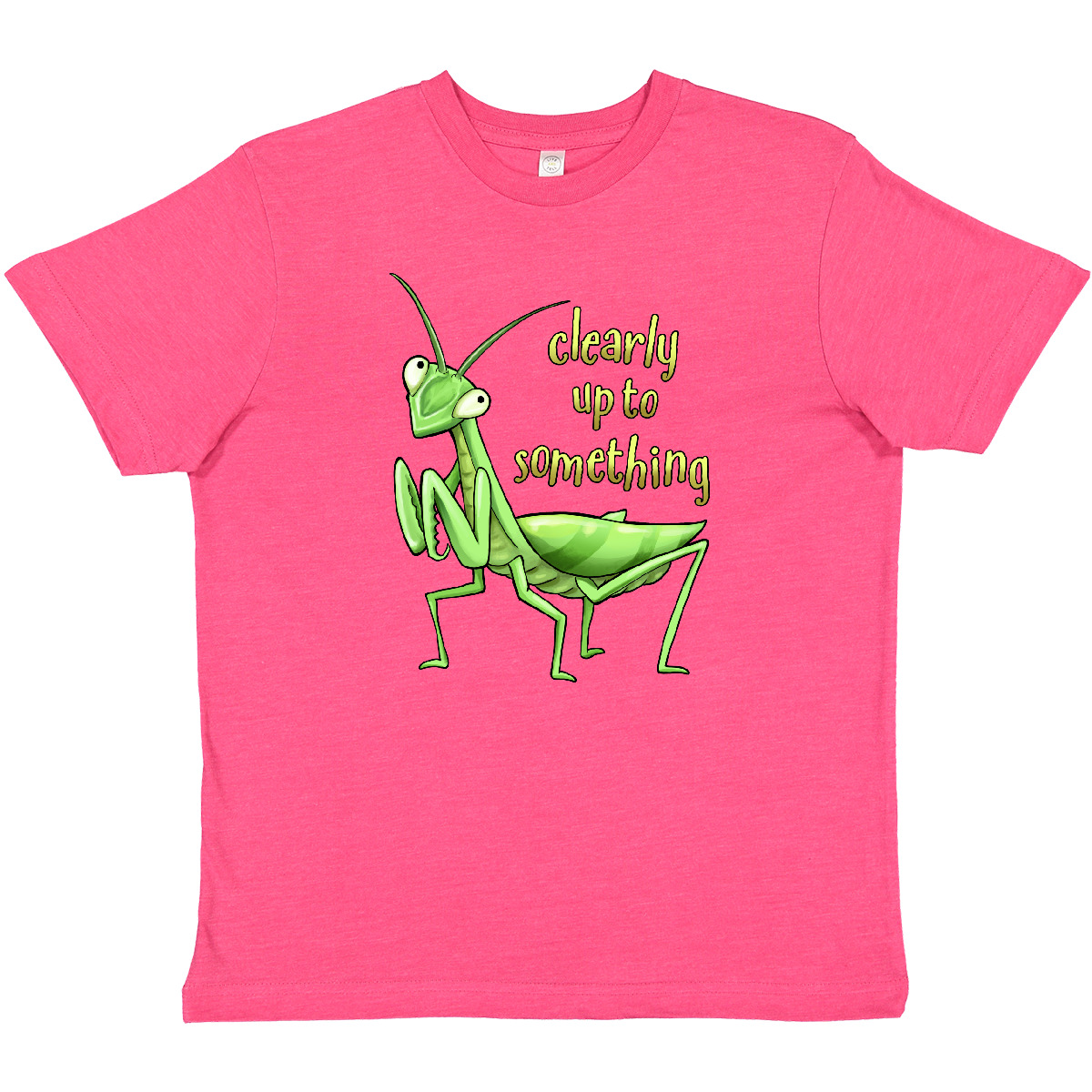 Inktastic Praying Mantis- Clearly Up To Something Youth T-Shirt Animals Insect - Picture 6 of 8