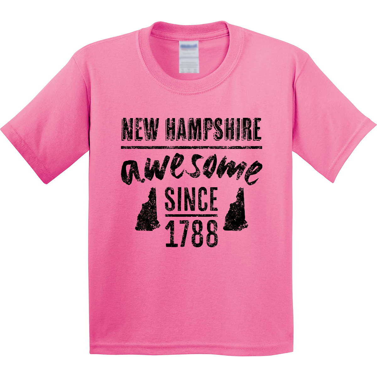 Inktastic New Hampshire Awesome Since 1788 Youth T-Shirt Concord City Birthday - Picture 2 of 7
