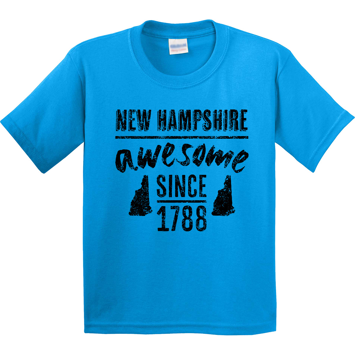 Inktastic New Hampshire Awesome Since 1788 Youth T-Shirt Concord City Birthday - Picture 4 of 7