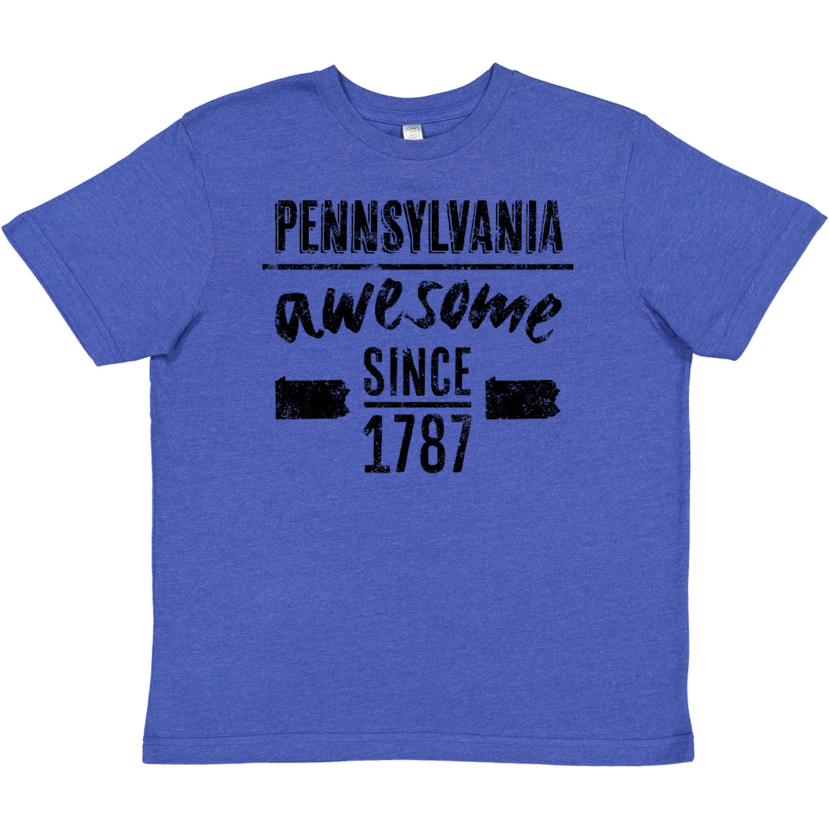 Inktastic Pennsylvania Awesome Since 1787 Youth T-Shirt Harrisburg City Birthday - Picture 7 of 8