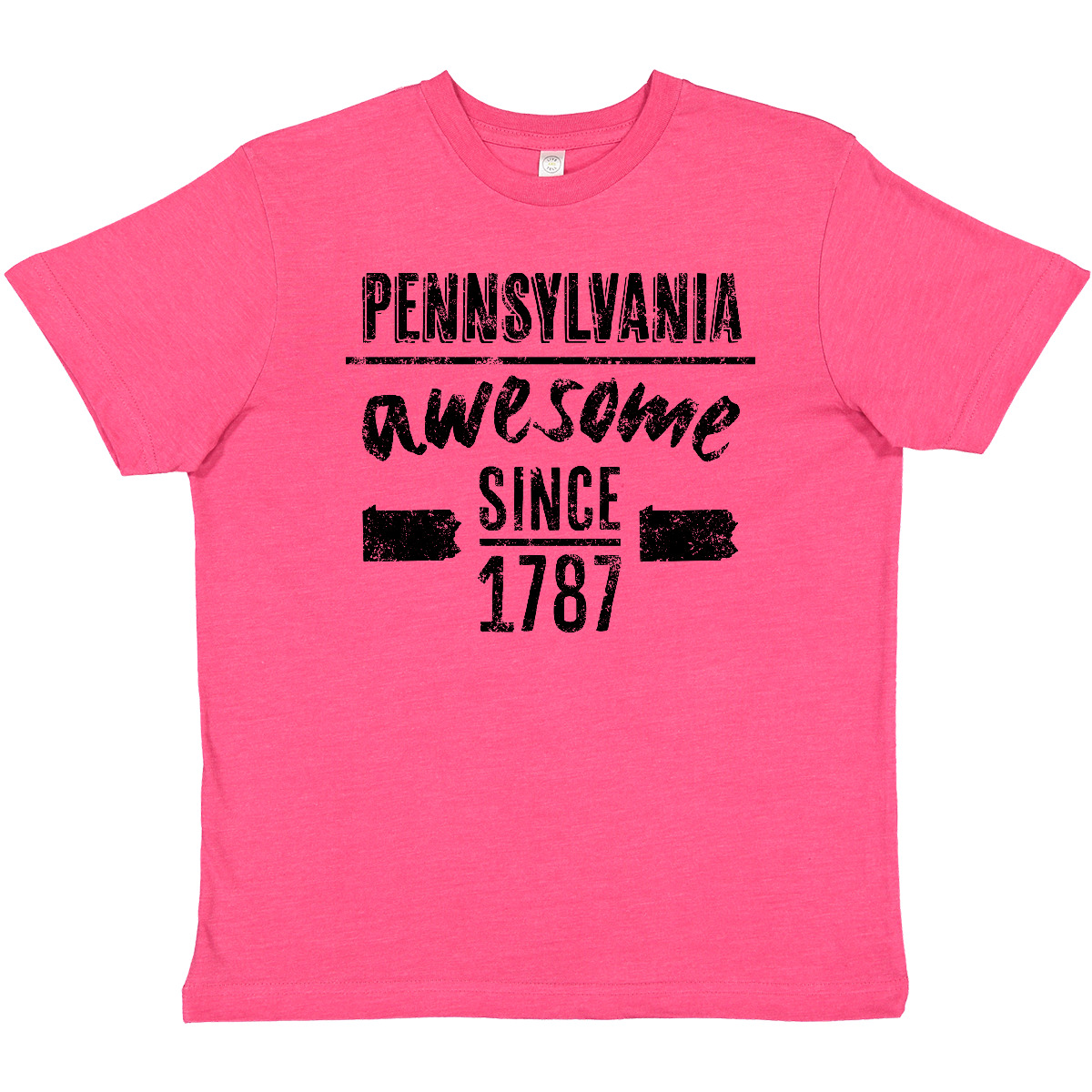 Inktastic Pennsylvania Awesome Since 1787 Youth T-Shirt Harrisburg City Birthday - Picture 6 of 8